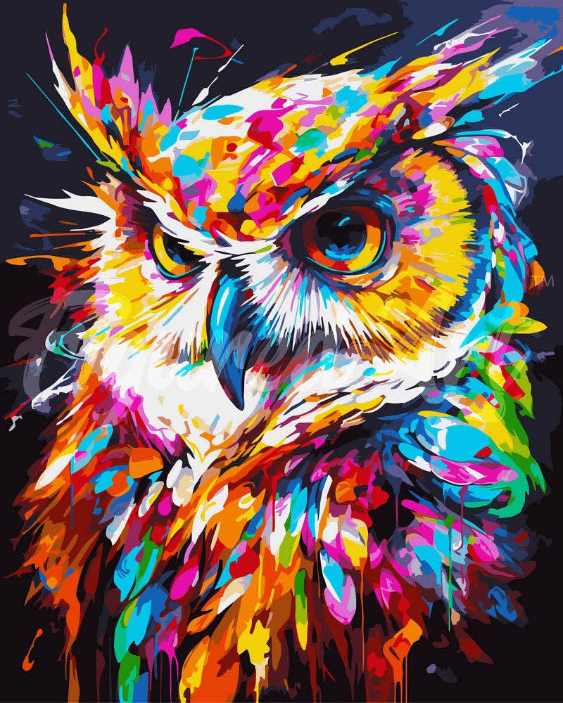 Paint by Numbers rolled - Colorful Abstract Owl