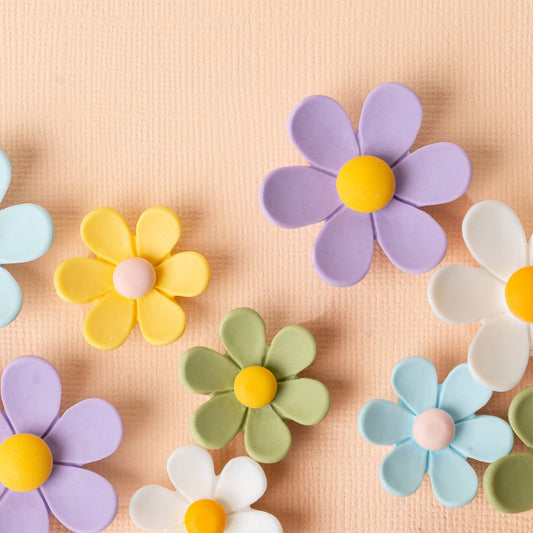 Daisy Delight Magnet Set-Blue